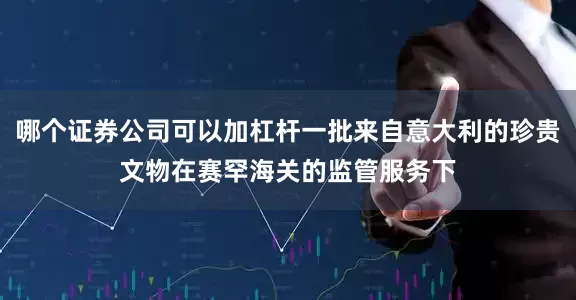 哪个证券公司可以加杠杆一批来自意大利的珍贵文物在赛罕海关的监管服务下