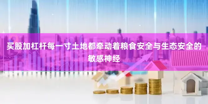 买股加杠杆每一寸土地都牵动着粮食安全与生态安全的敏感神经