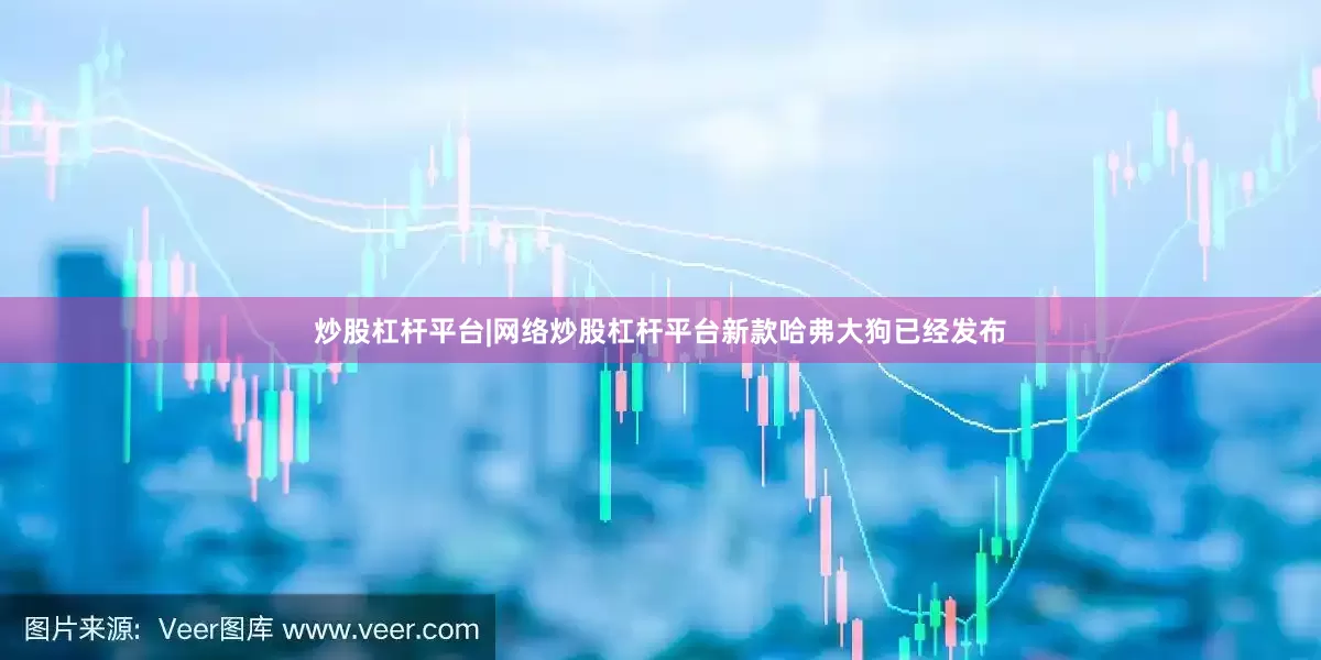 炒股杠杆平台|网络炒股杠杆平台新款哈弗大狗已经发布